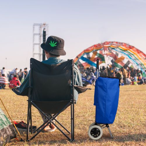 Chariot De Courses Pliable