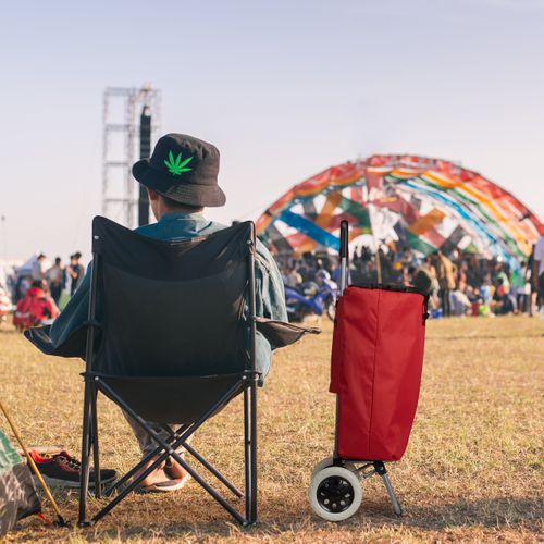 Chariot De Courses Pliable