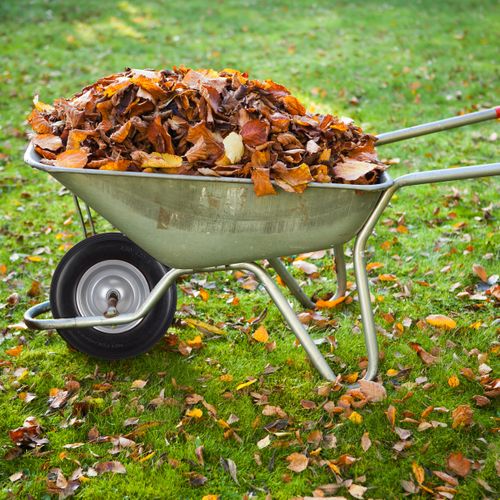 Roue De Brouette En Caoutchouc