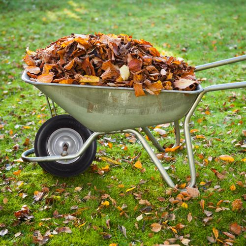 Roue De Brouette 4.80 4.00-8