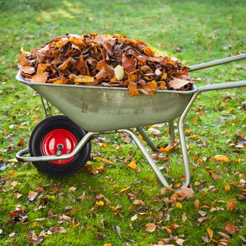 Roue De Brouette 4.80 4.00-8