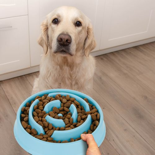 Gamelle Anti-glouton 400 Ml