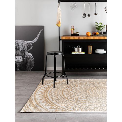 Tapis D'extérieur Et Intérieur Cleo Crème/beige 1 240x340 Cm