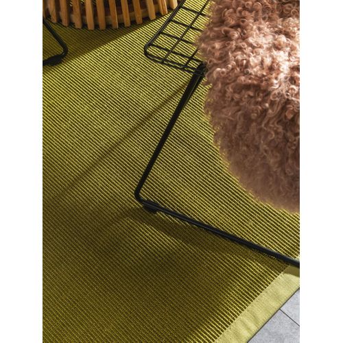 Tapis Sisal Sana Vert 240x340 Cm