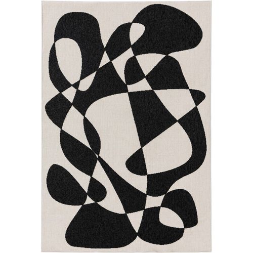 Tapis D'extérieur Et Intérieur Taro Noir Et Blanc 2 120x170 Cm