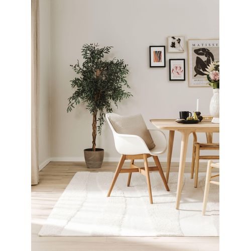 Tapis En Coton Isla Crème 2 200x300 Cm