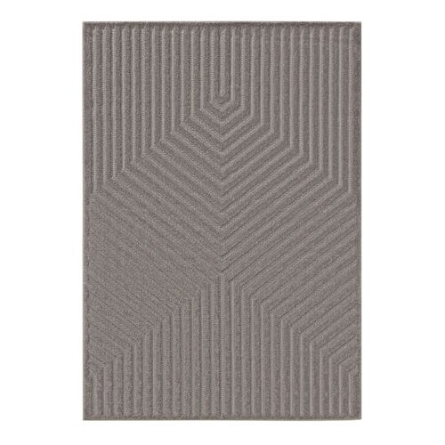 Tapis Leo Gris Clair 240x340 Cm