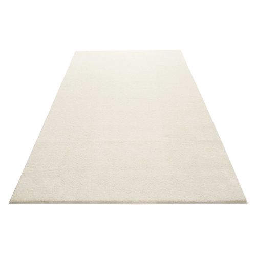 Tapis De Salon 160x230 Poil Ras Blanc Crème Lotta