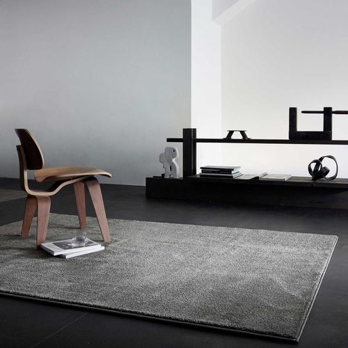 Tapis De Salon 120x170 Poil Ras Gris Chiné Lotta