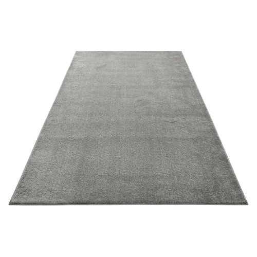 Tapis De Salon 120x170 Poil Ras Gris Chiné Lotta