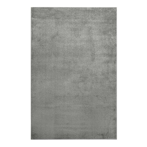 Tapis De Salon 120x170 Poil Ras Gris Chiné Lotta