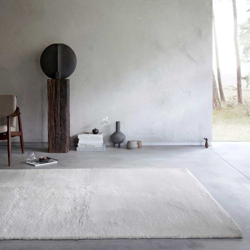 Tapis Doux 160x230 Moelleux Poils Longs Gris Clair Anna