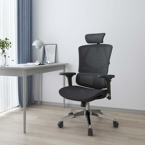 Sihoo Chaise De Bureau Ergonomique Soutien Lombaire Mesh Noir