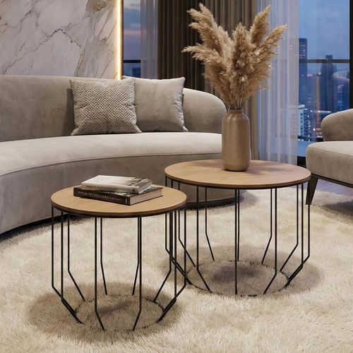 Lot De 2 Tables Basses Hwc-p58 Chêne