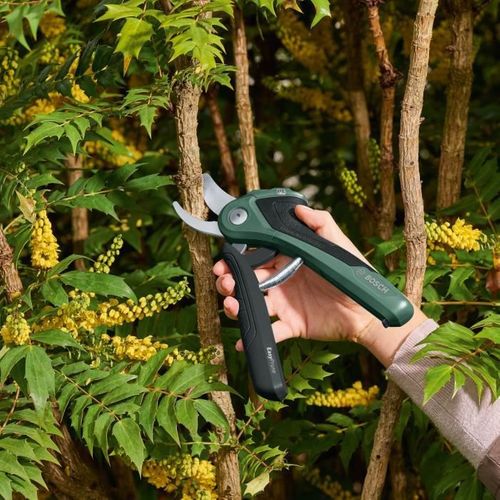 Sécateur Easyprune
