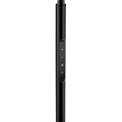 Lampe De Sol LED 5 Modes D'éclairage 12 W Avec Télécommande Noire