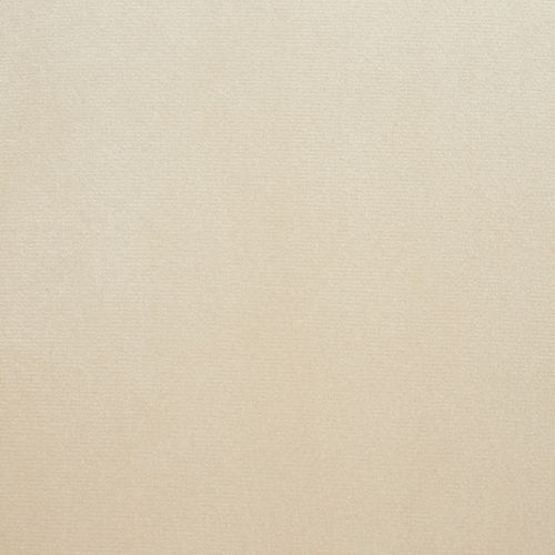 Lot 2 Chaises De Salle à Manger En Velours Design Noué Sable/or