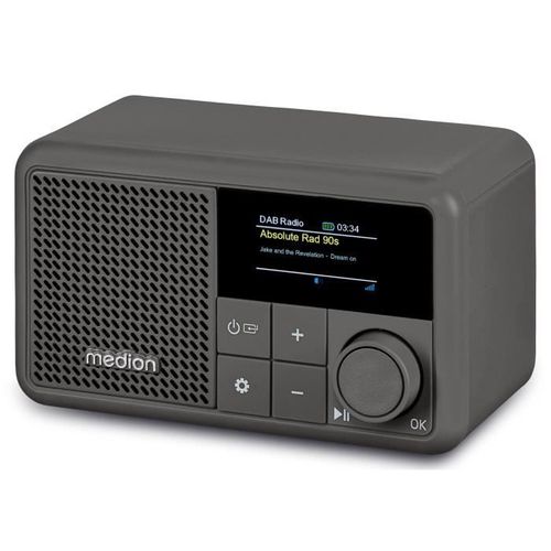 Mini Radio - Dab/fm - Mono 2w Rms - Gris