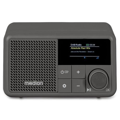 Mini Radio - Dab/fm - Mono 2w Rms - Gris