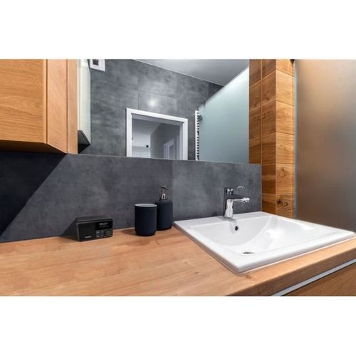 Mini Radio - Dab/fm - Mono 2w Rms - Gris