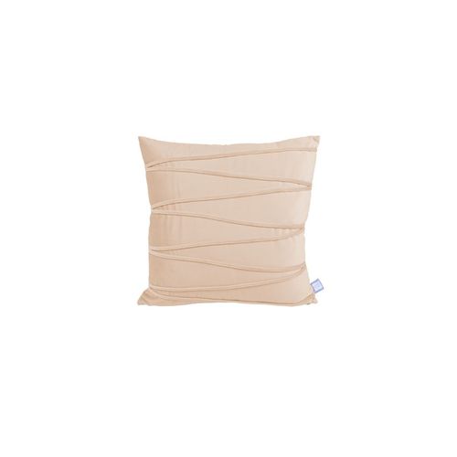 Lot De 2 Coussins Déco "paulina" 30x50cm Champagne