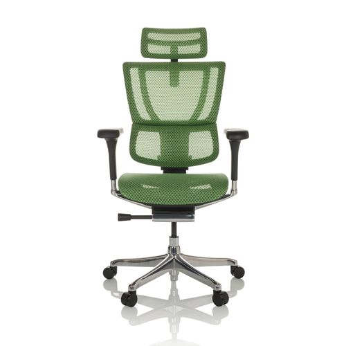 Siège De Direction De Luxe Ergohuman Slim Gen2 Tissu Maille Vert Avec Accoudoirs (réglables En