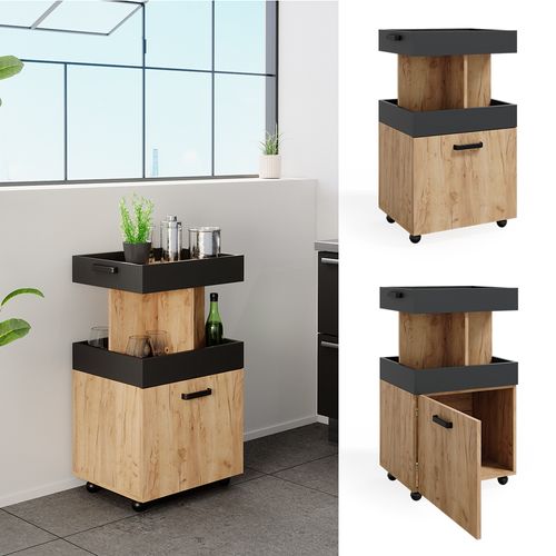 Caisson à Roulettes  37510 Chêne De Force Doré 50x88.6cm