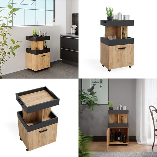 Caisson à Roulettes  37510 Chêne De Force Doré 50x88.6cm