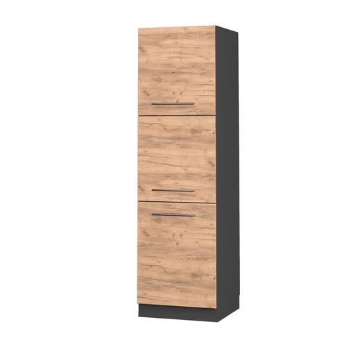 Meuble Pour Four Fame-line 38564 Chêne De Force Doré 60cm