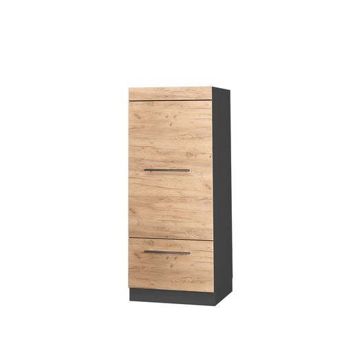 Armoire Micro-ondes Fame-line 38577 Chêne De Force Doré 60cm