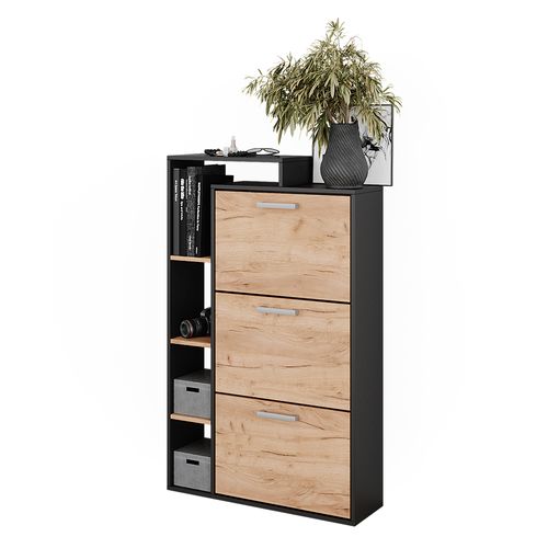 Meuble à Chaussure Orlando, Chêne De Force Doré, 80x128.3cm Avec 3 Compartiments