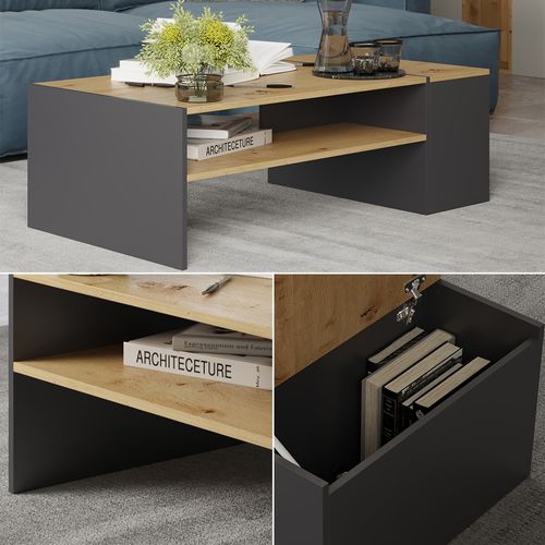 Table Basse Rubby 54447 Chêne Artisan/anthracite 110x60cm