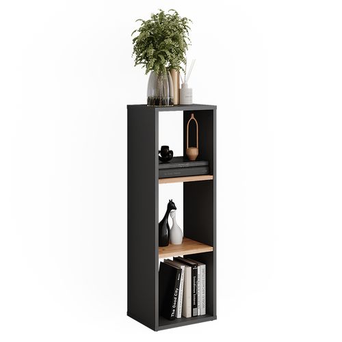 Étagère Sur Pied Orlando 54547 Anthracite/chêne Doré 30x90.5cm