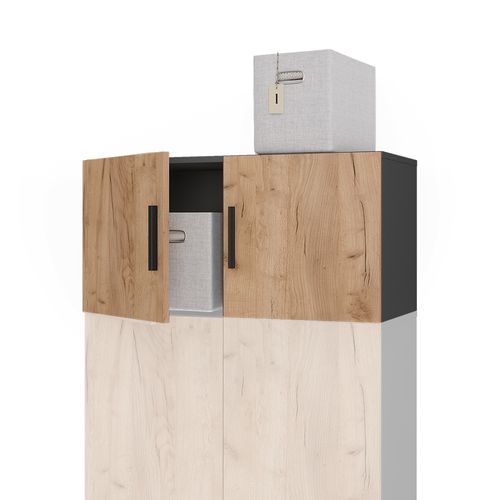 Module D'extension Ingo, Anthracite/chêne Doré, 80x40cm Avec 2 Portes