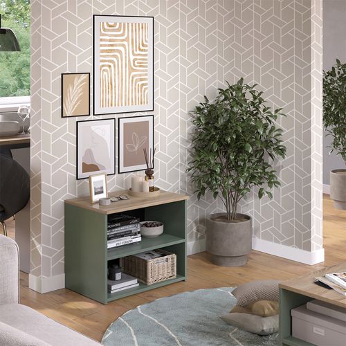 Meuble TV Wido 56608 Vert 60x50cm Avec 2 Compartiments