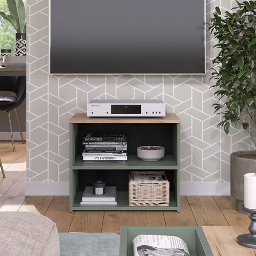 Meuble TV Wido 56608 Vert 60x50cm Avec 2 Compartiments