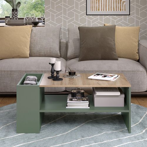 Table Basse Wido 56609 Vert 100x55cm Avec Des Étagères