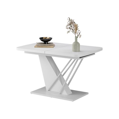 Table De Salle à Manger Fenaro 58023 Blanc 120x80cm 2 Pièces