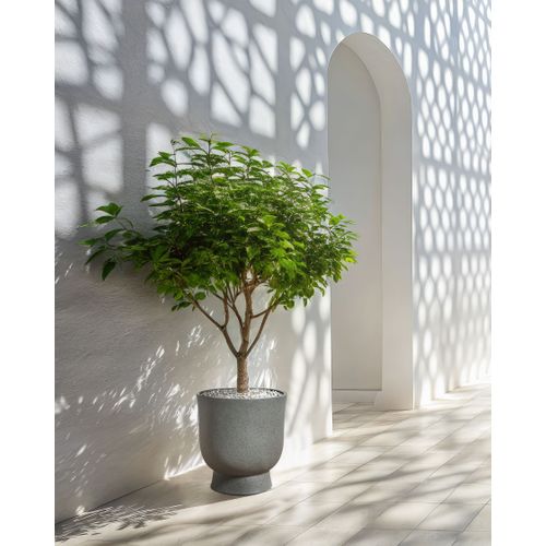 Cache-pot Ginkgo 36 Cm Effet Béton Gris