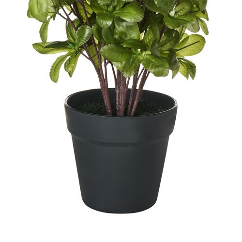Plante Artificielle Novella 36 Cm Blanc