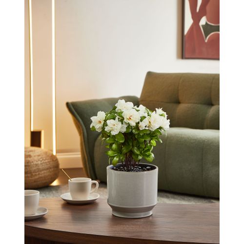 Plante Artificielle Novella 36 Cm Blanc