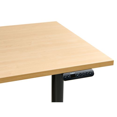 Bureau Réglable En Hauteur Électriquement Destinas Noir/marron Clair 120 Cm 60 Cm