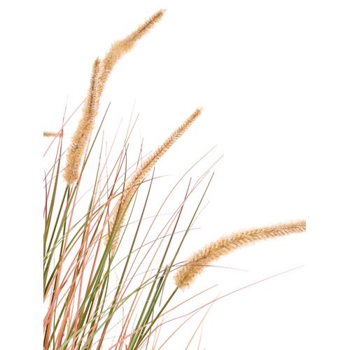 Plante Artificielle Bristlegrass 120 Cm Orange