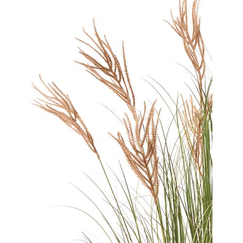 Plante Artificielle Claw Flower 150 Cm Vert