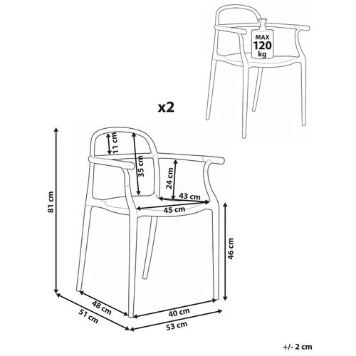 Lot De 2 Chaises De Jardin Vidor Noir