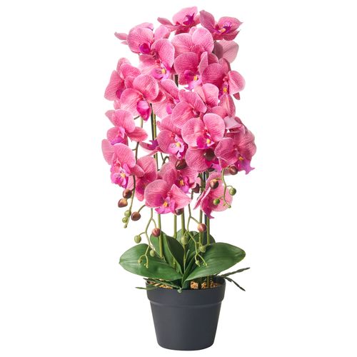 Plante Artificielle Orchid 65 Cm Rose