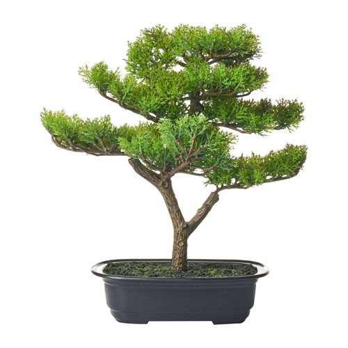 Plante Artificielle Pine 37 Cm Vert