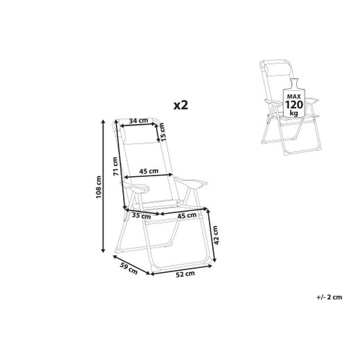 Lot De 2 Chaises De Jardin Asine Pliant Métal Gris