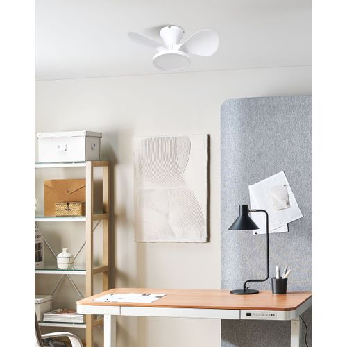 Ventilateur De Plafond Avec Lampe Punti Avec Télécommande LED Blanc