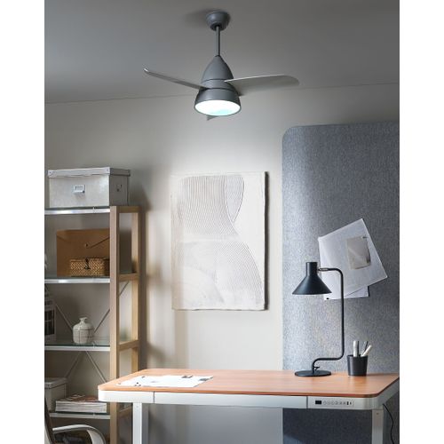Ventilateur De Plafond Avec Lampe Strawberry Avec Télécommande LED Gris